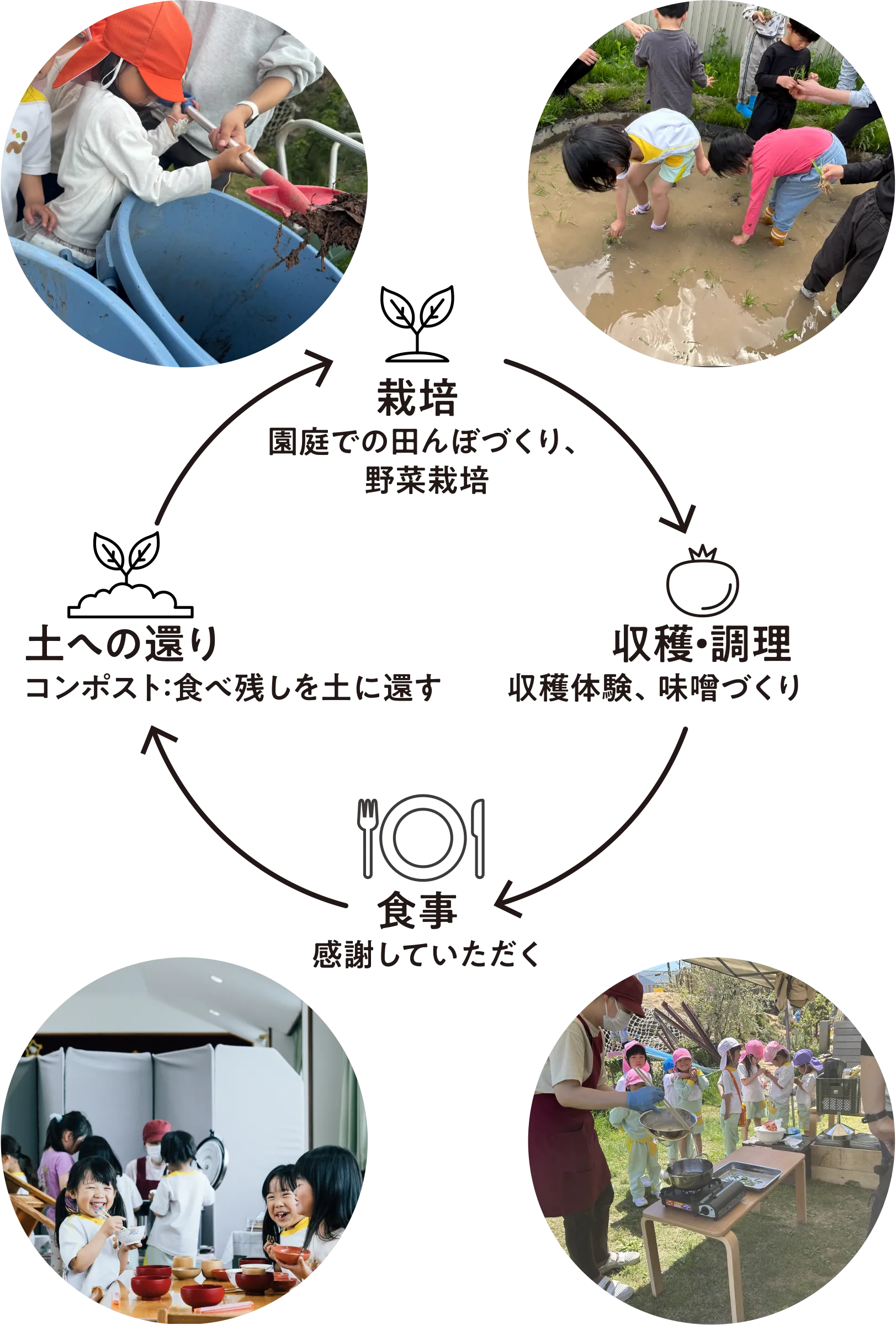 いのちの循環とSDGs