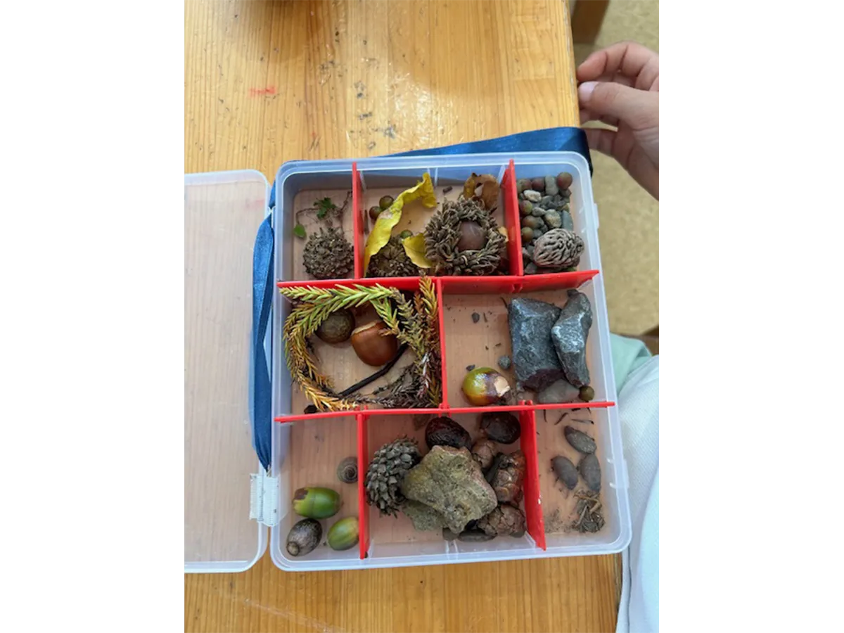 木育カリキュラム